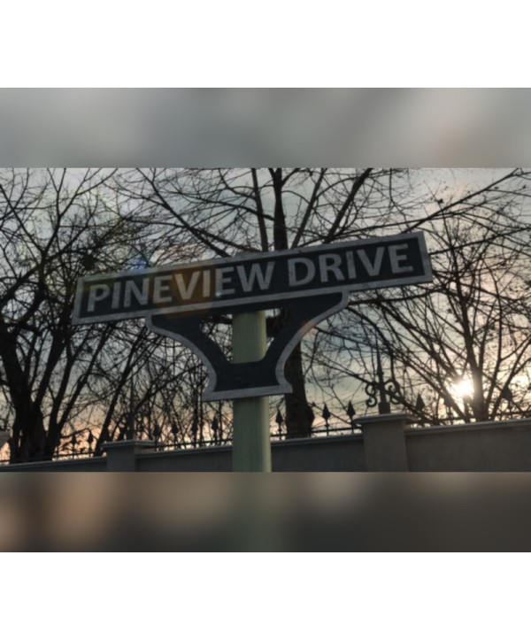 Pineview Drive Steam Key EUROPE